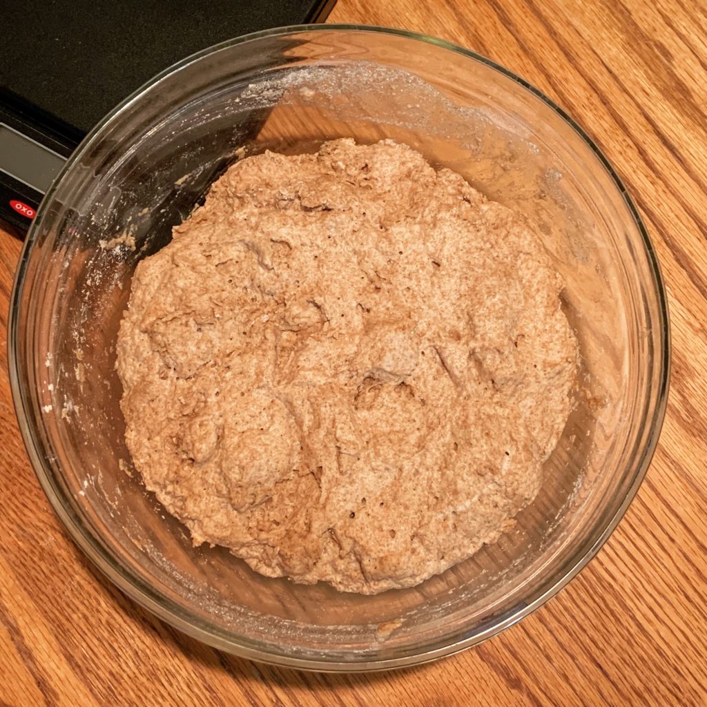 Risen Bread Dough