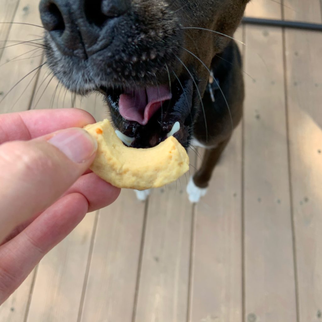 Beta sampling a dog treat