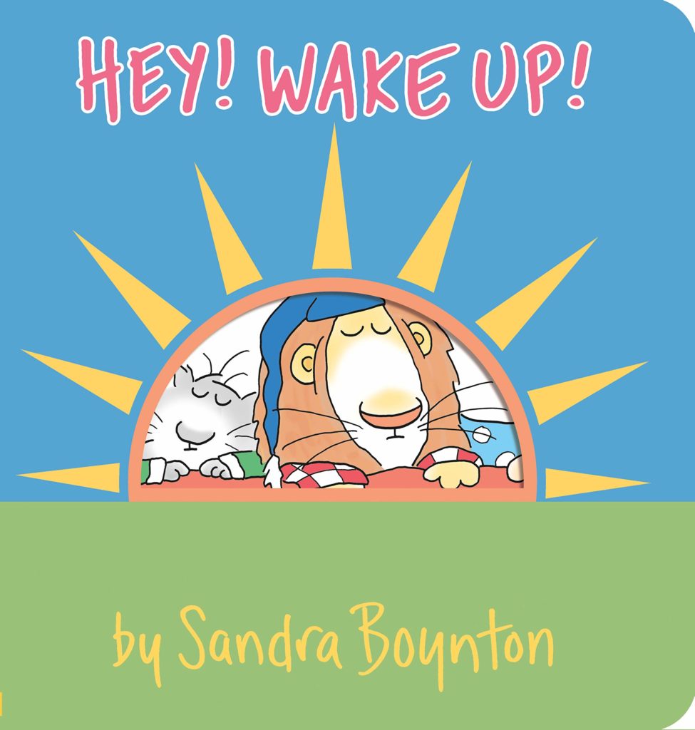 Hey! Wake Up! by Sandra Boynton