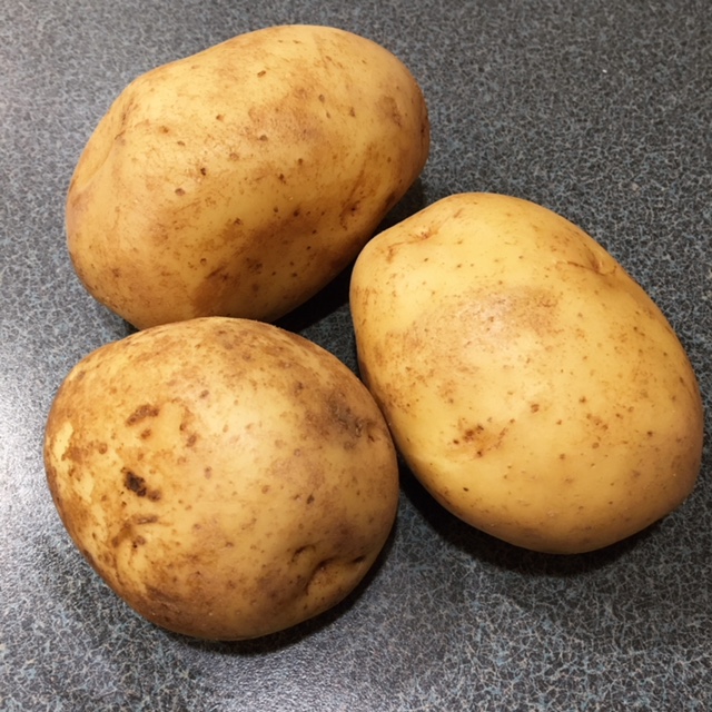 Russet potato - Wikipedia