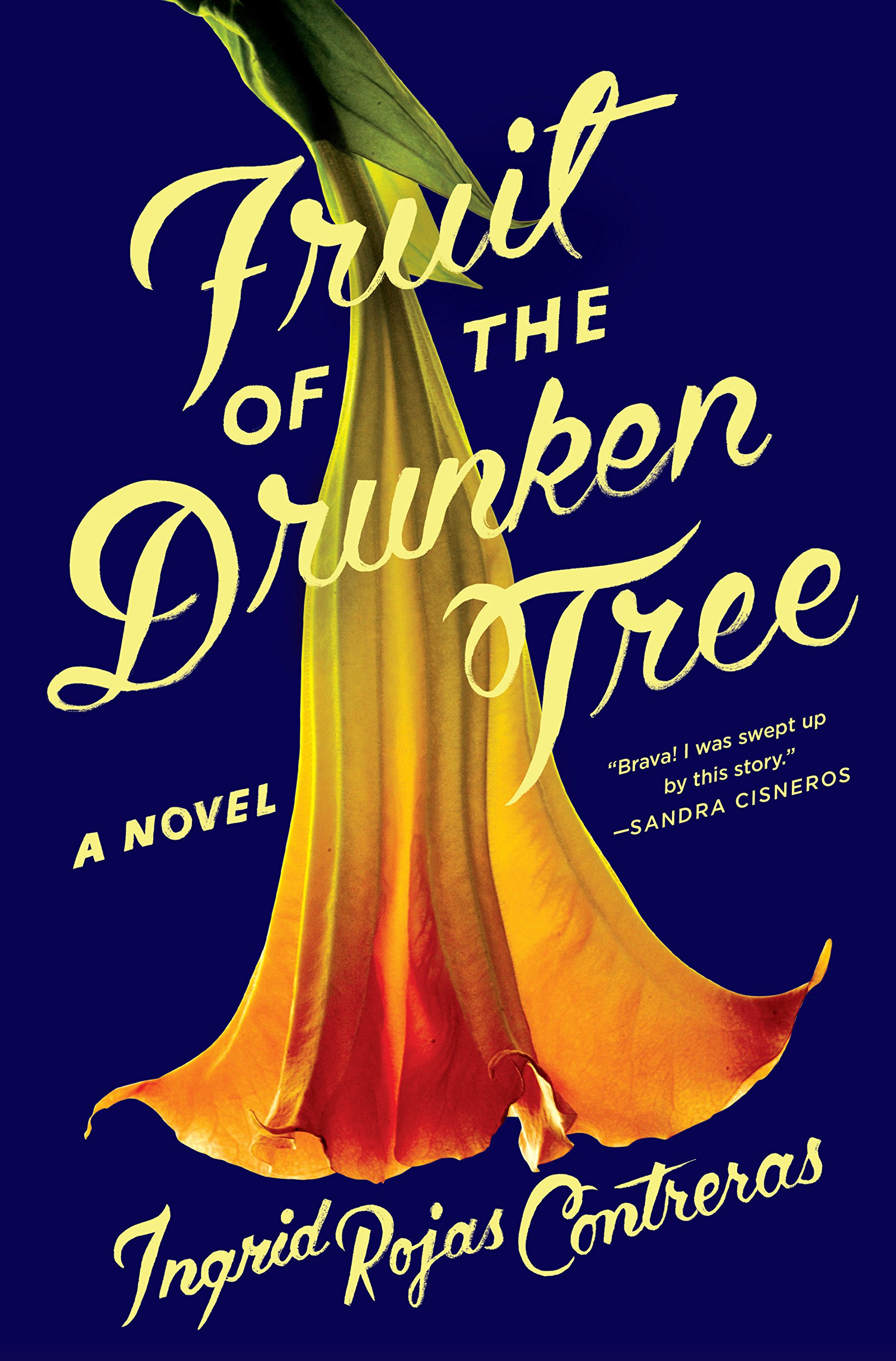 Fruit of the Drunken Tree by Ingrid Rojas Contreras