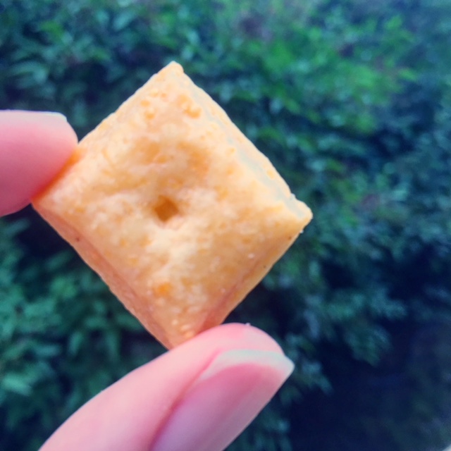 Cheese Cracker