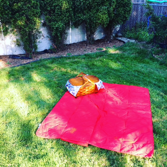 Backyard Picnic Setup