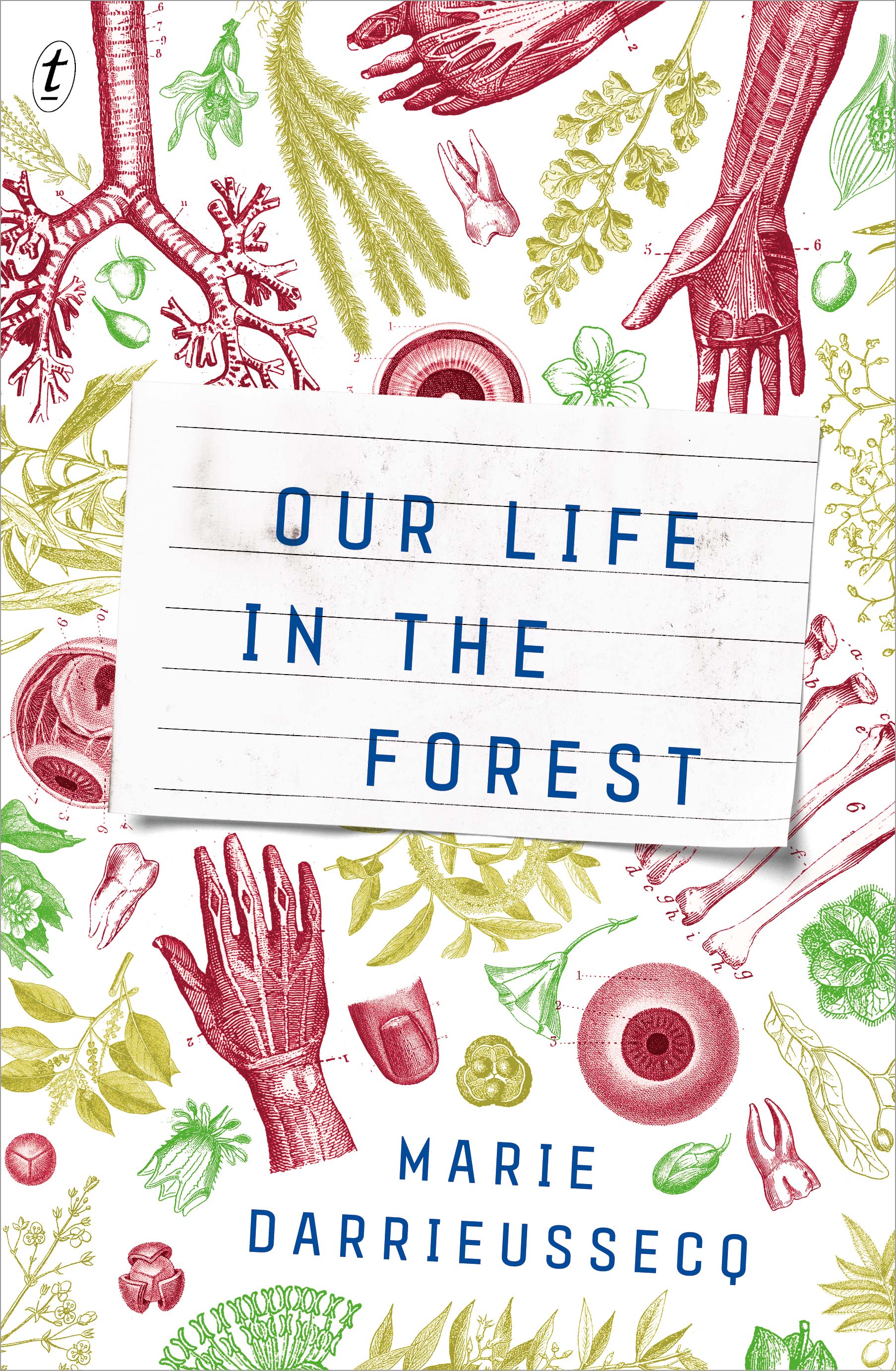 Our Life in the Forest by Marie Darrieussecq