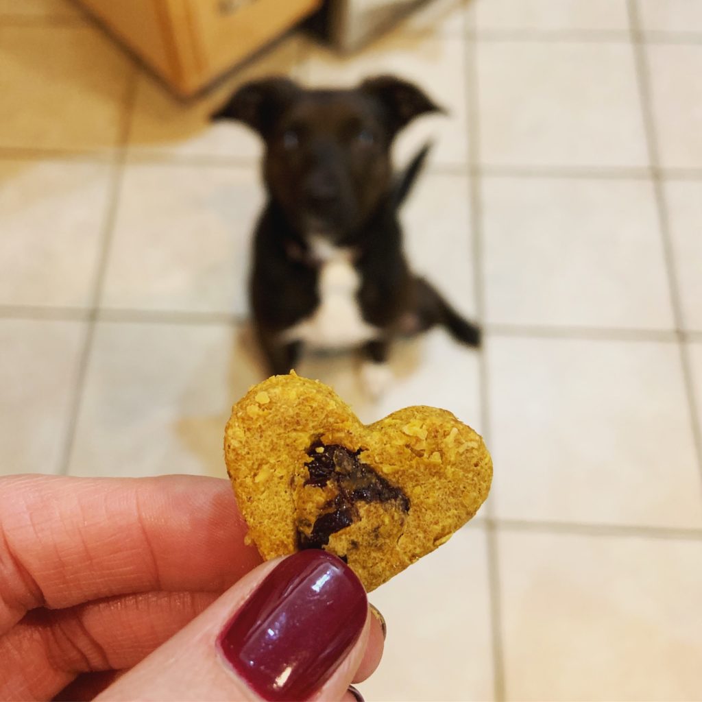 Beta Dog and her Treats