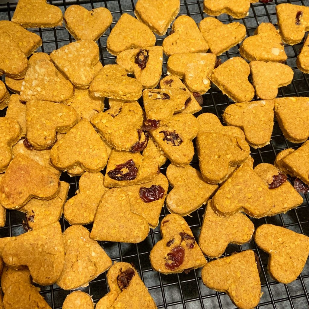 Homemade Dog Treats