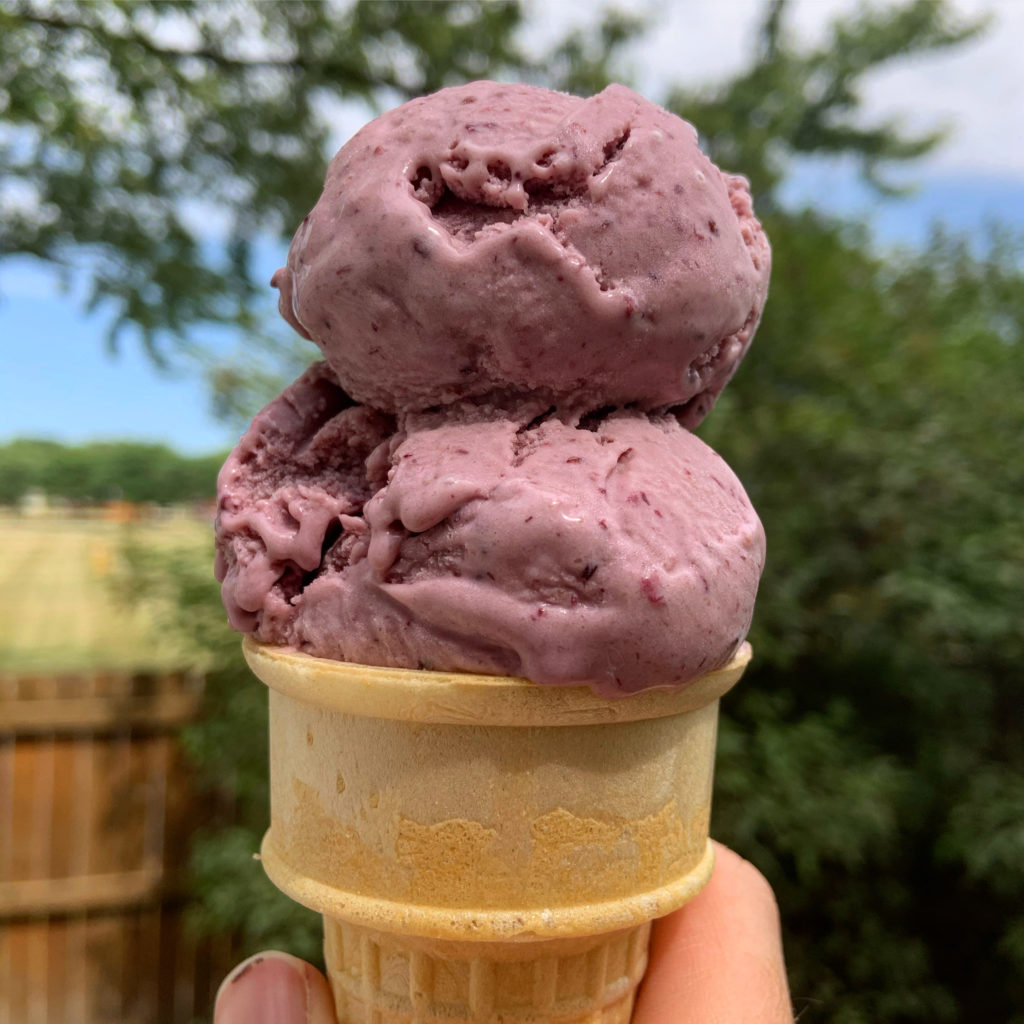 Blackberry Ice Cream