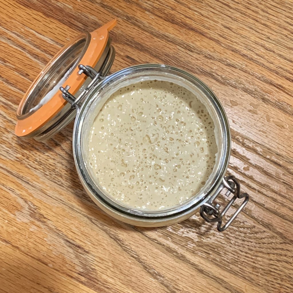 Sourdough Starter